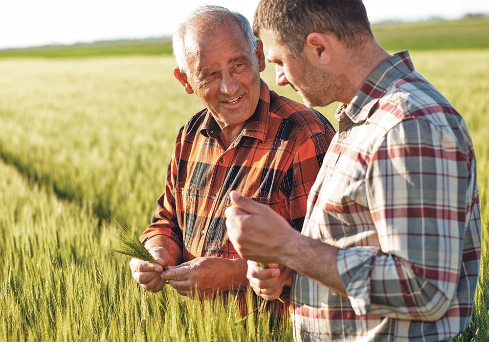 A farm succession expert says too many families fail to consider the long-term consequences of transitioning all or most of the operation’s equity to one child.  |  Getty Images photo