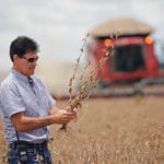 Farmer Julimar Pansera inspects plants during the soy harvest near the town of Campos Lindos. | Ueslei Marcelino photo