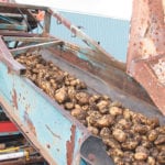 Manitoba producers planted 64,100 acres of potatoes this year, up about 1,200 acres from the previous year, while Alberta producers planted 55,410 acres, up about 1,800 acres from 2017. | File photo