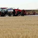 Glyphosate is under siege nationally and internationally. Stopping its pre-harvest use might be a logical step to quell the uprising and preserve the world’s most popular herbicide for other applications.
| File photo