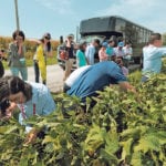 A Chinese trade delegation looks over a Missouri soybean field in late August. The crop has been caught in the middle of a China-U.S. trade war, but an even bigger danger is threatening its market prospects — African swine fever. | REUTERS/Dave Kaup photo