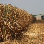 A recent round of contract selling by speculators has created a bearish outlook for corn and soybeans. | File photo