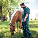 A basic examination involves a detailed head-to-toe checkup, in which the vet looks at the eyes, ears, nose and mouth, skin, muscling, legs, hoofs, genitals and udder, listens to the heart, lungs and gut sounds and feels for pulses. | University of Calgary Veterinary Medicine photo