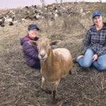 Shepherd Sue Michalsky and her assistant Meghan Johnston spend 15 hours a day grazing a flock of 300 sheep at the Northeast Swale conservation area in Saskatoon. | William DeKay photo