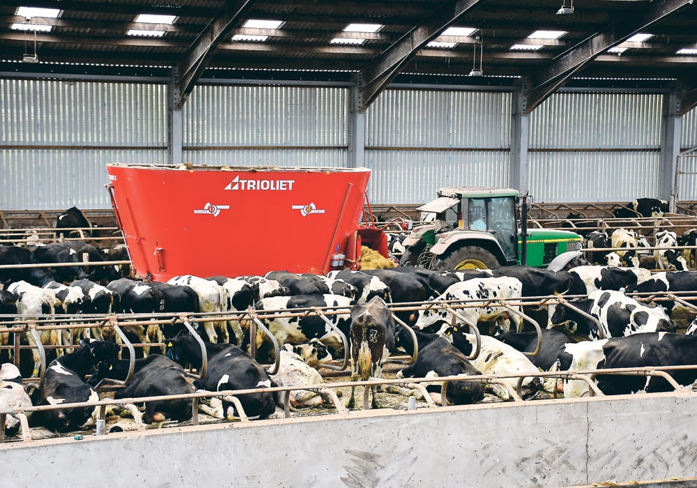 Robin Bingham’s dairy farm in Northern Ireland is using a plasma reactor to reduce ammonia emissions from its 1,200 cows.  |  Chris McCullough photo