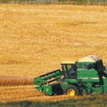 One of the largest buyers of Canadian wheat has a problem with the quality of the product.
| File photo