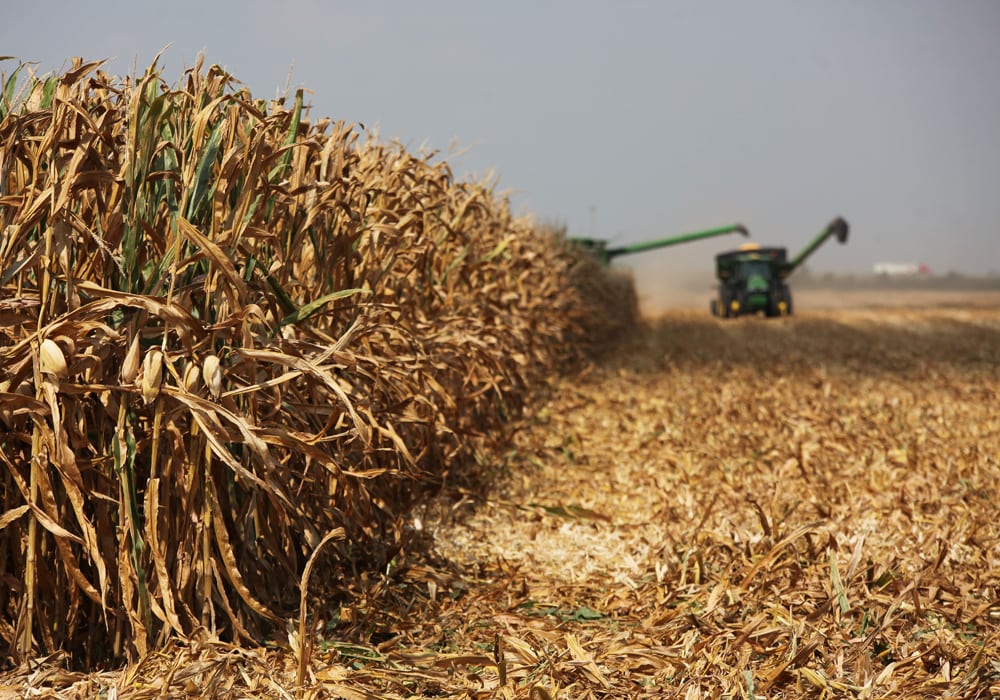Corn, soybean and wheat futures in the United States are awaiting the latest U.S. Department of Agriculture (USDA) reports, but traders aren't expecting the reports to much of an effect on prices. | File photo