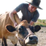 Takota Coen stands with his Jersey cow on his farm near Ferintosh, Alta. | Jeremy Simes photo