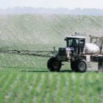 Some countries are setting their own standards for for maximum residue limits, independent of Codex, possibly resulting in the erosion of international standards for pesticide and herbicide residues. | File photo