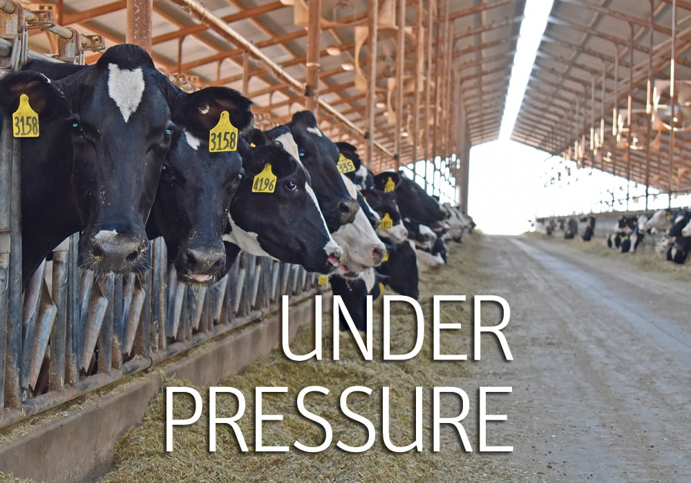 Under pressure – a WP Special Report