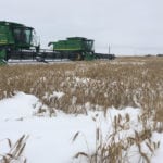 Stalled harvest progress across Western Canada saw canola prices move steadily higher on the ICE Futures platform for most of the week ended Sep. 28. | Tom Boden photo