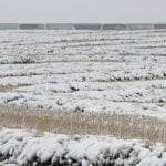 Cool and wet conditions across Manitoba limited harvest progress once again during the week ended Oct. 1, according to the latest crop report from Manitoba Agriculture. | Robin Booker photo