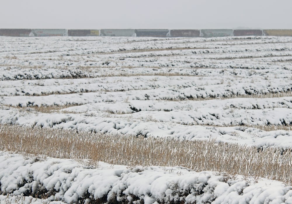 Cool and wet conditions across Manitoba limited harvest progress once again during the week ended Oct. 1, according to the latest crop report from Manitoba Agriculture. | Robin Booker photo