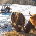 After their first year of UTV ownership, most farmers go back to their dealer for rubber tracks, which naturally leads to a snow plow, bucket or snow blower. Nobody expects to do heavy duty snow removal with their UTV, but these small machines are mobile and efficient working around buildings and in the yard. | CAMSO/Kimpex photo