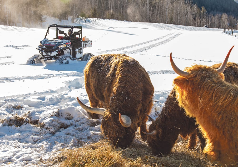 After their first year of UTV ownership, most farmers go back to their dealer for rubber tracks, which naturally leads to a snow plow, bucket or snow blower. Nobody expects to do heavy duty snow removal with their UTV, but these small machines are mobile and efficient working around buildings and in the yard.  |  CAMSO/Kimpex photo