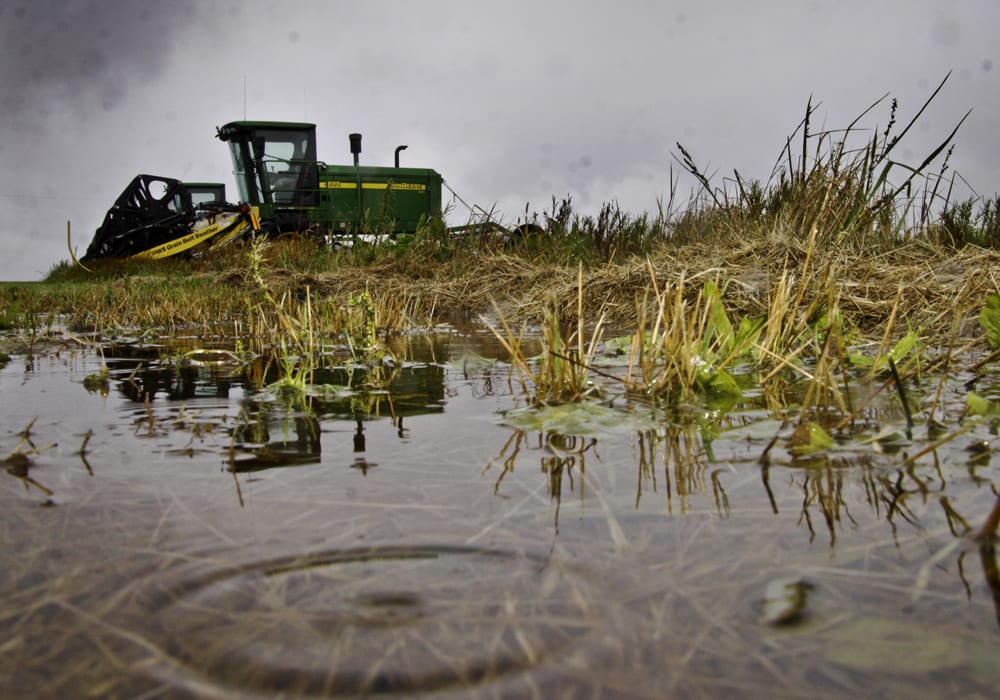 Cool and wet weather limited harvest progress in Saskatchewan during the week ended Oct. 1, with the overall harvest rate only increasing five percentage points, to 73 percent complete, according to the latest provincial report. | File photo
