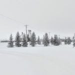 Little harvest progress was made in Manitoba for the week ended Oct. 9 as snow stalled combining in parts of the province, according to the weekly crop report. | Twitter/@ArborgHeritageV photo
