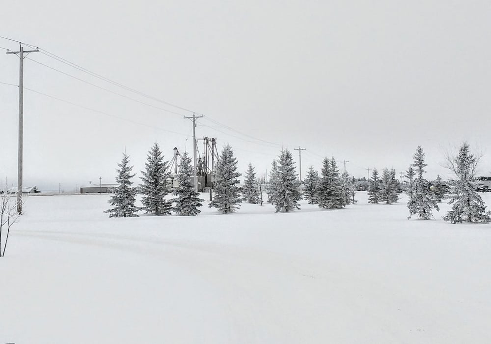 Little harvest progress was made in Manitoba for the week ended Oct. 9 as snow stalled combining in parts of the province, according to the weekly crop report. | Twitter/@ArborgHeritageV photo