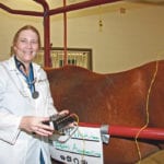 Veterinarian Ashley Whitehead uses acupuncture to treat horses and teaches clinical skills at the University of Calgary’s Faculty of Veterinary Medicine. She uses other alternative treatments for pain relief, inflammation and other conditions in horses. Besides the acupuncture needles, horses may receive electrostimulation at the acupuncture points. | Barbara Duckworth photo