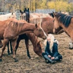 Tracy Benkendorf says she is struggling to get hay for her horse rescue operation near Leduc, Alta.  |  Supplied photo