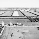 Shelter belts were planted to avoid soil erosion in the days before reduced tillage and continuous cropping, but the benefits appear to have extended beyond the era of summerfallow. | File photo
