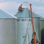 The industry proposes collecting royalties on farm-saved seed.| File photo