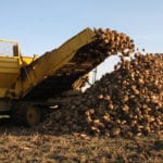 Alberta sugar beet growers made gains for their product in the new U.S.-Mexico-Canada Agreement signed Sept. 30.
| File photo