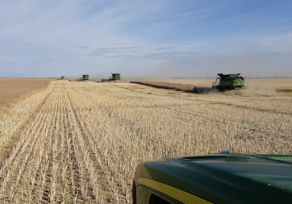Farmer selling and weather conditions have been driving the bouncing market. | Twitter/ Levi Walter (@Levijr94) photo