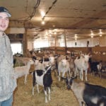 Ken Van Driesten stands in the goat barn at Noble Meadows Farm near Nobleford, Alta. The farm has a goat dairy and cheese-making operation. | Barb Glen photo