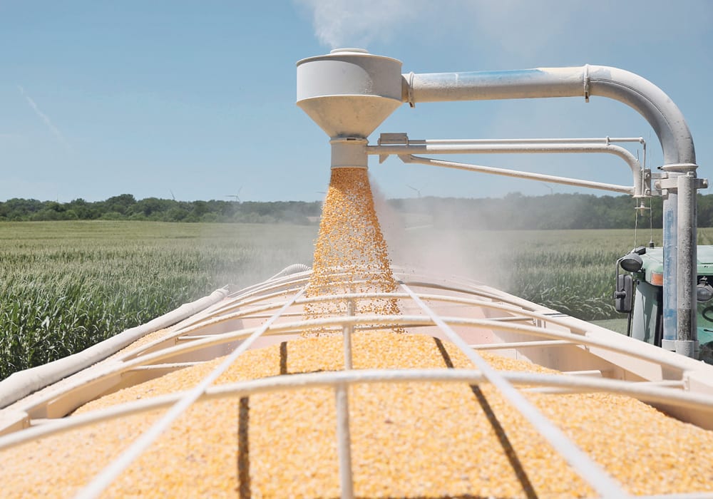 A two billion bu. increase in corn demand in the U.S. could significantly impact prices.  | REUTERS/Daniel Acker photo