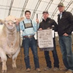 The grand champion Charolais bull banner at the Olds Fall Classic went to Kay-R Land and Cattle Ltd. of Waskatenau, Alta., Elder Charolais of Coronach, Sask., and Sharodon Charolais from Ontario. At the halter is Kord Phillps, left, Kasey Phillps and Mike Elder. | Barbara Duckworth photo