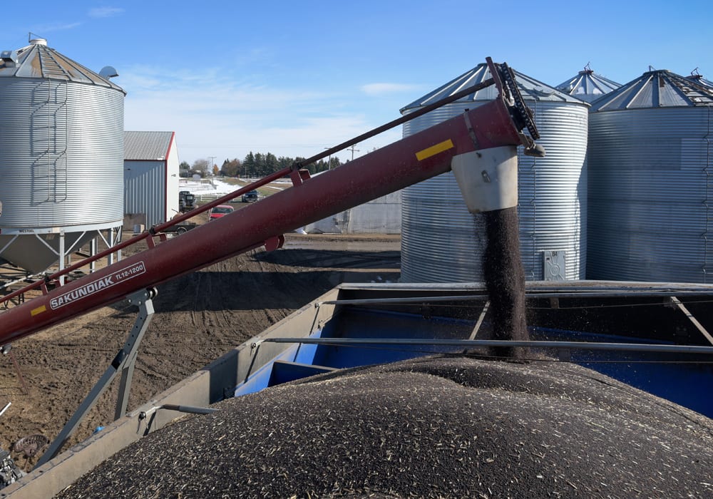 The canola market see-sawed during the week ended Oct. 19 with the overall trend being to the downside as farmers were able to get back into the fields and deliveries picked up pace. | File photo
