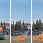 This is what happens when a large pumpkin is dropped on a car from 45 metres: a split second before impact, left, impact and a split second later. | Les Dunford photos