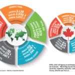 Total wheat and coarse grain production globally is projected to fall for a second year with a smaller 2018-19 crop, according to the International Grains Council. While corn and sorghum have risen, they are outweighed by other grain declines. Wheat production is expected to fall by 41 million tonnes year over year and barley will see its smallest harvest in six seasons. Global consumption for all purposes is set to reach a new high of 2,136 million tonnes, up 29 million tonnes over last season. World carryout stocks are predicted to contract for a second year in a row, 64 million tonnes down from last year, to a four-year low of 544 million tonnes. Chinese inventory reductions form half of that fall.