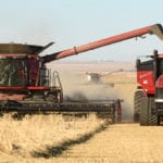Saskatchewan farmers made the most of the warm and dry weather during the last week and were able to make significant harvest progress, according to the provincial crop report released Oct. 25. | William DeKay photo
