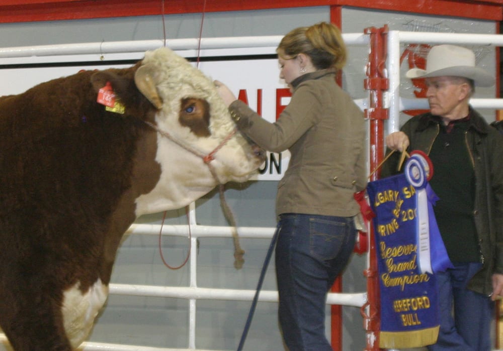 Reserve grand champion Hereford owner Donald Cross holds the banner at the 106th Calgary bull sale in this 2006 file photo.