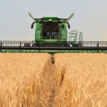 This image is from a Foodgrains Bank project, August, 2018. | Barb Glen photo
