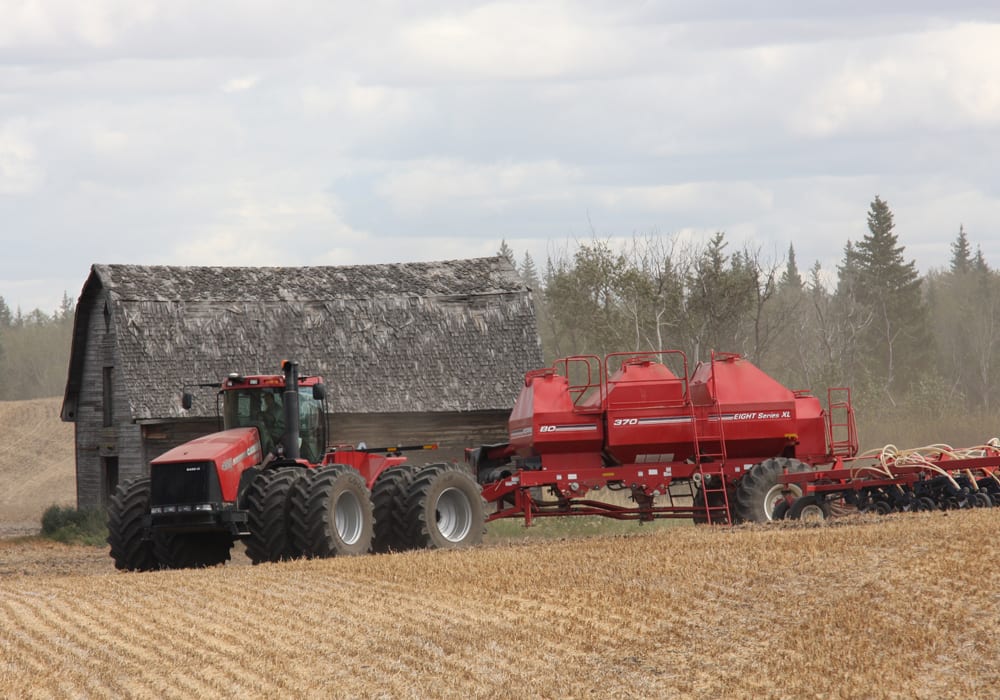 Firm numbers for winter wheat seeding on the Prairies are not yet available, but there are firm opinions about how it went. | File photo