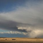 The Canadian Crop Hail Association released its hail summary November 1, noting lack of moisture in many areas this summer resulted in fewer storms than average. However, severity in terms of crop damage was high in the few storms that did gather. | File photo