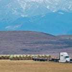 Cattle producers are urged to calculate their winter feeding requirements as feed shortages loom. | Mike Sturk photo