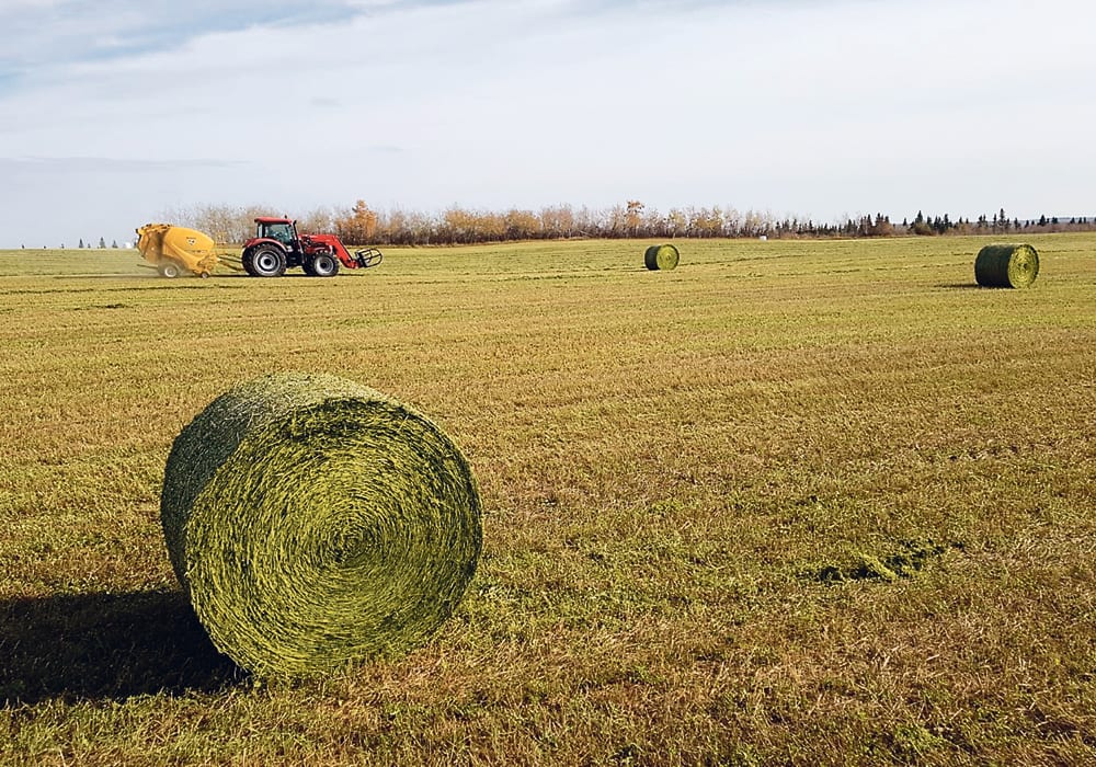 Shane Kissel, owner of AgZone, partnered with the Lakeland Agricultural Research Association for a research project on silage bales.  |  Shane Kissel photo 