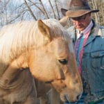 Ulf Herde uses horses for almost all of his cattle work. | Jeremy Simes photo
