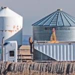 Call options are one strategy farmers could use to reduce the risk of storing crops in hopes of price improvements. | Mike Sturk photo