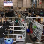Exhibitors hand out in the Black Angus barn at Farmfair International in Edmonton. | Jeremy Simes photo