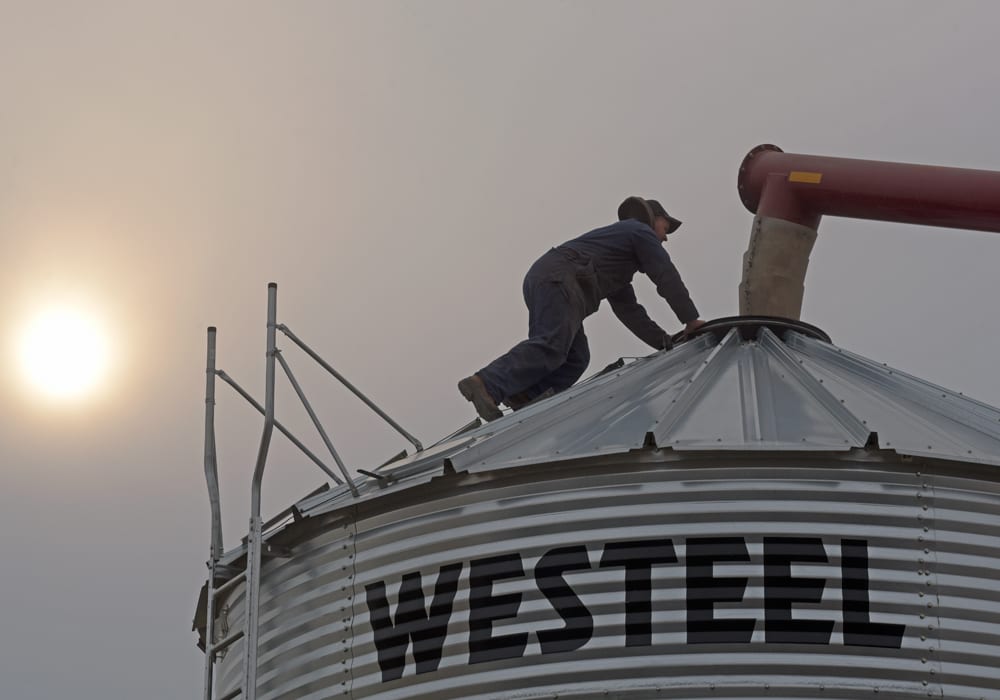 The meetings are part of a federal consultation process aimed at gathering feedback on a plan to collect royalties or user fees on farm-saved seed — harvested seed that is used by farmers to plant crops in subsequent production years.  | File photo
