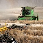 Second-guessing Statistics Canada crop information may be a time-honoured tradition across the Prairies, but there are trends in the data that stand out, according to a recent report from the government agency. | Robin Booker photo