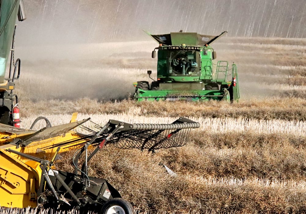 Second-guessing Statistics Canada crop information may be a time-honoured tradition across the Prairies, but there are trends in the data that stand out, according to a recent report from the government agency. | Robin Booker photo