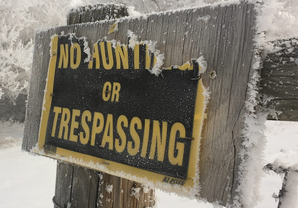 The survey results of Saskatchewan's consultation on trespass laws show the majority want mandatory permission to enter rural property. | File photo