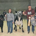 The grand champion Speckle Park female at Farmfair International was the entry of Wayne Meakin, owner of Outback Stock Farms in Alberta’s Sturgeon County. The winning female came from the two year old heifer class with calf at side. | Barbara Duckworth photo