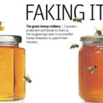 The surge of counterfeit honey into global honey supplies has been devastating for Canadian beekeepers. | WP graphic